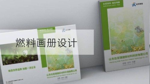 虎丘燃料画册设计